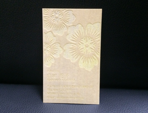 �؂̖��h �Ђ̂��̖��h �w���h