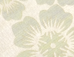 �؂̖��h �Ђ̂��̖��h �w���h