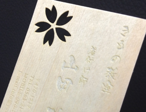 �؂̖��h �Ђ̂��̖��h �w���h