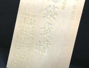 �؂̖��h �Ђ̂��̖��h �w���h