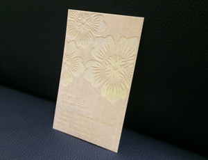 �؂̖��h �Ђ̂��̖��h �w���h